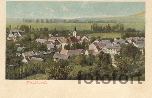 Býčkovice 1903