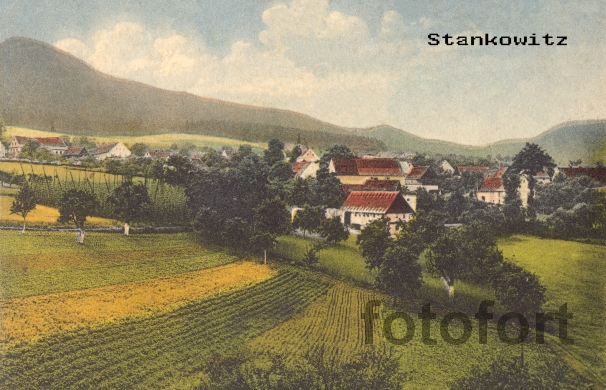 Staňkovice 1915a