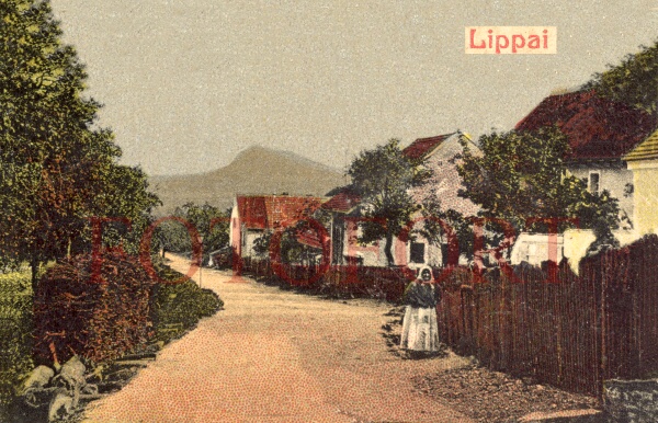 Lipá 1925b