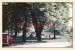 076--Štětí  1986 - pohled do parku - Mírové náměstí