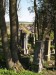11 Radouň - hřbitov