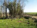 14 Radouň - hřbitov